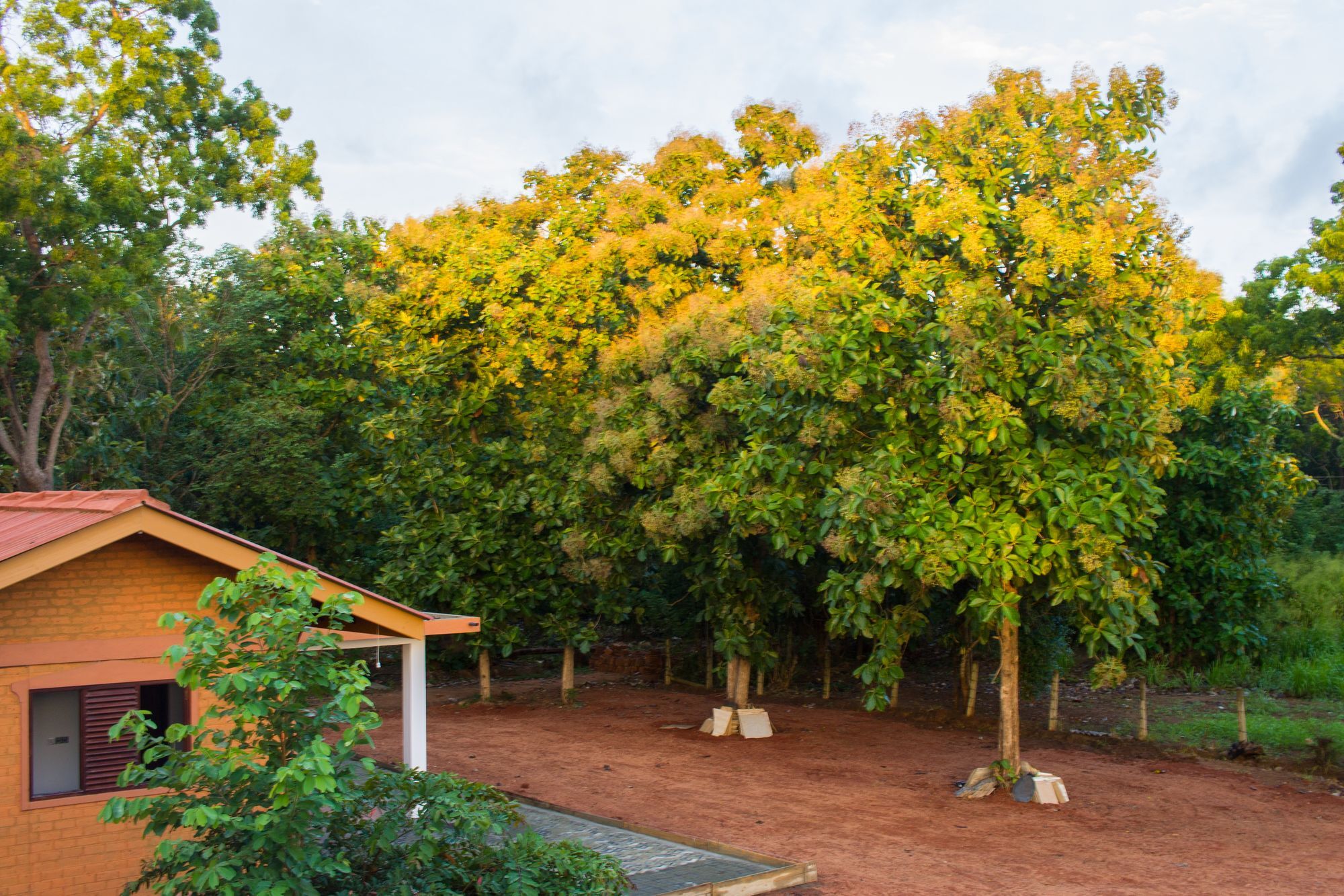 Hotel 4 U Saliya Garden Anuradhapura Exterior photo